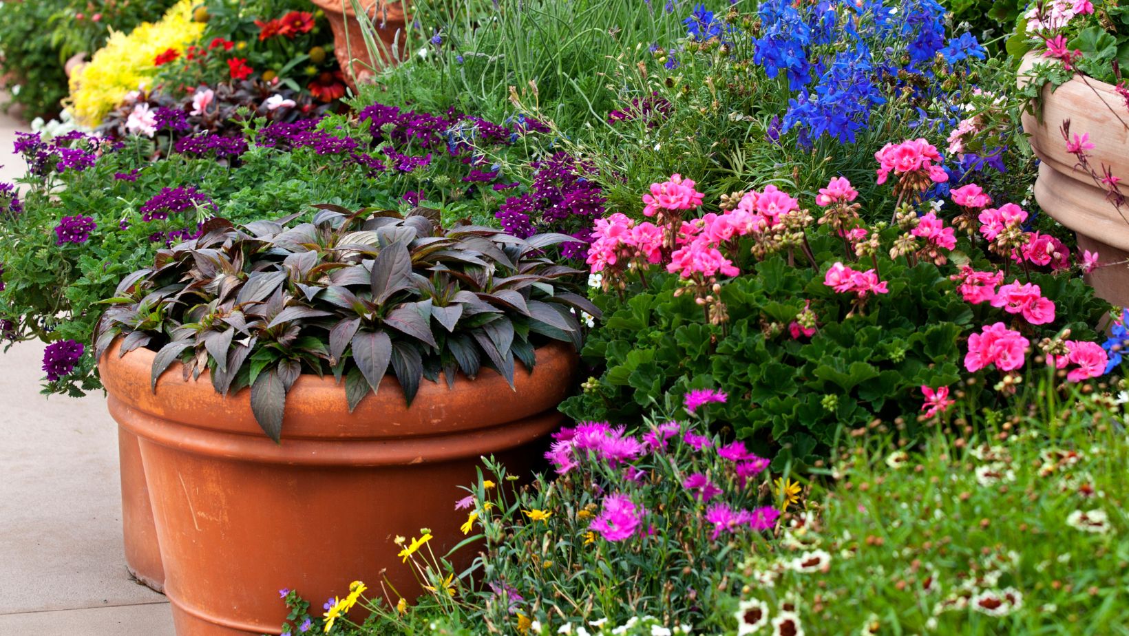 rockler apartment gardening